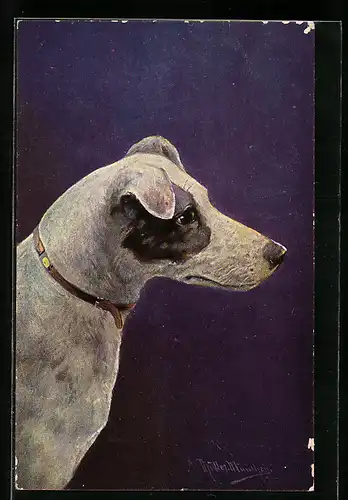 Künstler-AK M. Müller jun.: Glatthaar Foxterrier mit Halsband