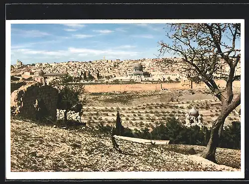 AK Jerusalem, Gesamtansicht vom Ölberg