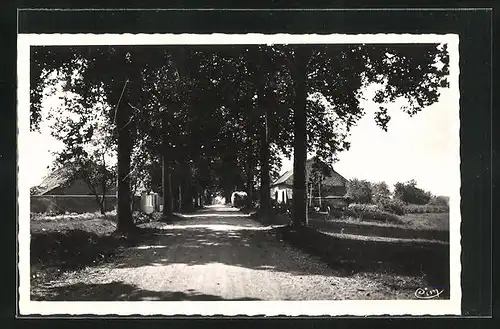 AK Montbozon, Route d`Avilley - Avenue des Platanes, Villa Mon Reve et Maison Jacoulet