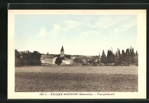 AK Paizay-Naudoin, Vue générale