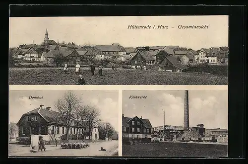 AK Hüttenrode i. Harz, Gesamtansicht, Kalkwerke, Domäne, Steinbruch