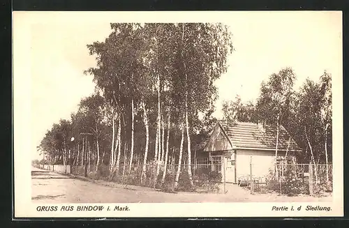 AK Bindow i. Mark, Partie in der Siedlung mit Birken