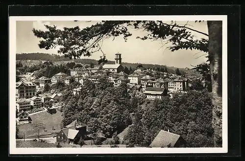 AK Heiden, Ortsansicht aus der Vogelschau