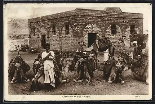 AK Aden, Caravan at rest, rastende Kamelkarawane