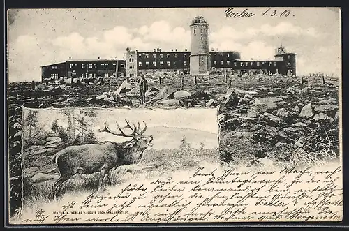 AK Brocken, Brockenhaus mit Turm, Röhrender Hirsch