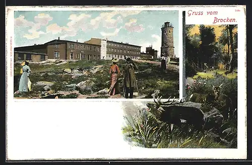 AK Brocken, Brocken-Hotel und Turm, röhrender Hirsch