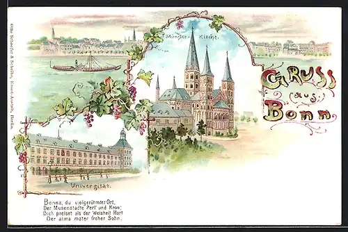 Lithographie Bonn, Panorama, Münster-Kirche und Universität