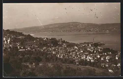 AK Richterswil, Panorama vom Berg aus gesehen