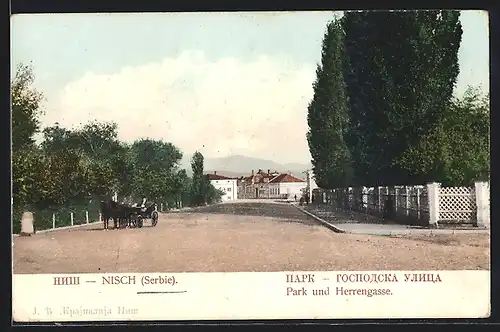 AK Nisch, Park und Herrengasse