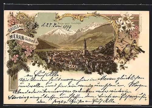 Lithographie Meran i. Südtirol, Teilansicht mit Kirche gegen Vintschgau