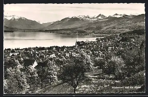 AK Wädenswil, Gesamtansicht mit Alpenpanorama