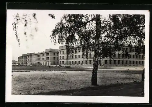 AK Pardubice, Ortspartie mit Baum