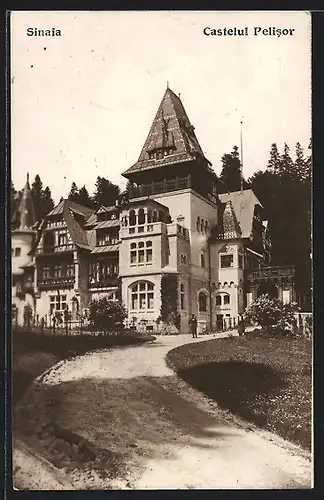 AK Sinaia, Castelul Pelisor