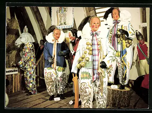 AK Narrenschopf Bad Dürrheim, Schwäbisch-alemannische Narrenschau, Narrenzunft Villingen-Schwenningen, Fasching