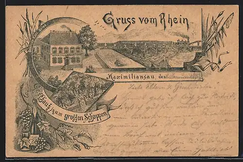 Lithographie Maximiliansau /Rhein, Gasthaus zum grossen Schoppen