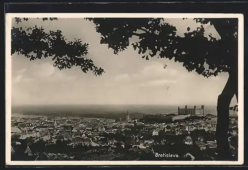 AK Bratislava, Panorama mit Burg