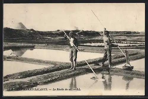 AK Les Marais Salants, La Recolte du sel