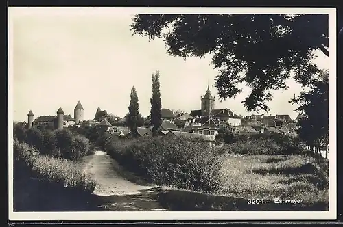 AK Estavayer, Ortsansicht mit Kirche und Burg