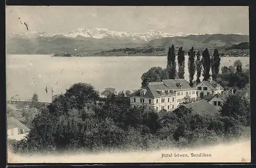 AK Bendlikon, Hotel Löwen mit Wasser- und Bergblick aus der Vogelschau