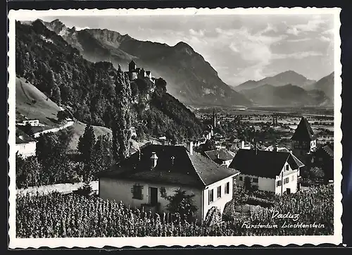 AK Vaduz, Teilansicht mit Schloss