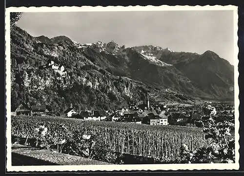 AK Vaduz, Teilansicht mit Rätikon