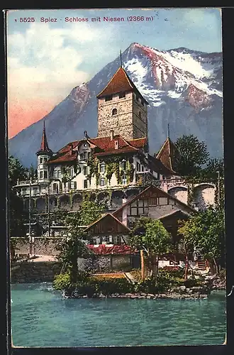 AK Spiez, Schloss mit Niesen