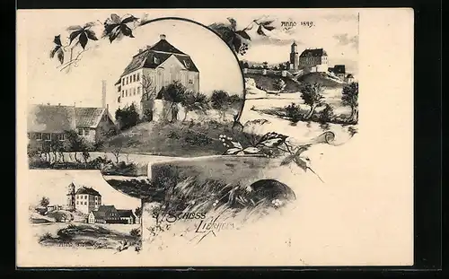 AK Lierheim, Schlossansicht anno 1849 und anno 1870