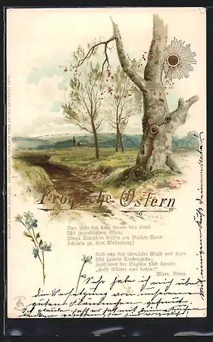 Sonnenschein-Lithographie Alter Baum steht am Flussufer, Ostern