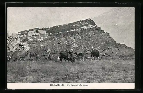 AK Caramulo, Um trecho da serra