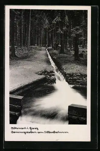 AK Altenau i. Harz, Sommergraben vom Silberbrunnen