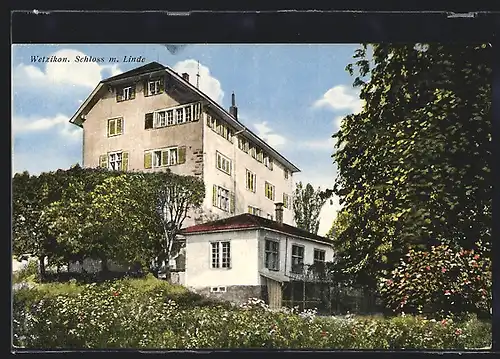 AK Wetzikon, Schloss mit Linde