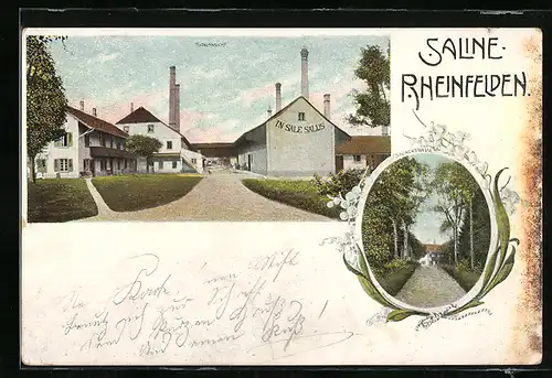 AK Rheinfelden, Totalansicht, Salinenstrasse