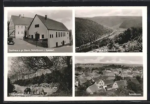 AK Schollbrunn / Spessart, Gasthaus z. gr. Baum, Blick z. Zwisselmühle, Ortspartie