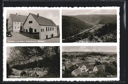 AK Schollbrunn i. Spessart, Gasthaus z. gr. Baum, Wildaufnahme, Zwisselmühle