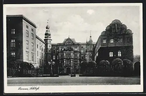 AK Dessau, Strassenpartie vor dem Schloss