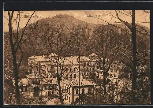 AK Ilfeld /Harz, Klosterschule aus der Vogelschau