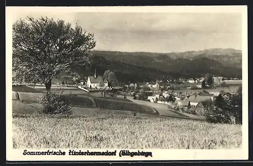 AK Hinterhermsdorf i. Sa., Panorama