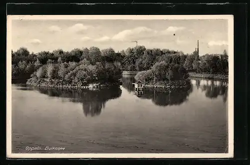 AK Oppeln, Bolkosee