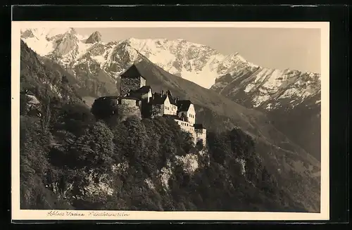 AK Vaduz, Blick auf das Schloss Vaduz