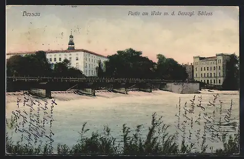 AK Dessau, Partie am Wehr mit dem herzoglichen Schloss