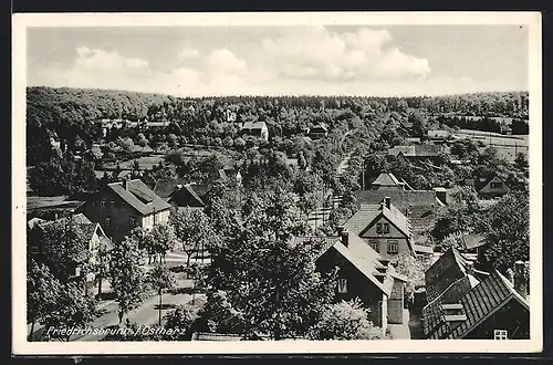 AK Friedrichsbrunn / Harz, Totalansicht