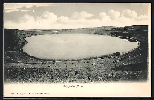 AK Daun / Eifel, Weinfelder Maar aus der Vogelschau