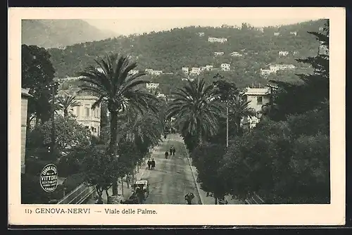 AK Genova-Nervi, Viale delle Palme