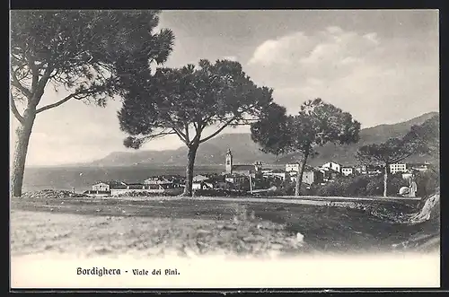 AK Bordighera, Viale dei Pini