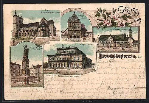 Lithographie Braunschweig, Burg Dankwaderode, Gewandhaus, Dom