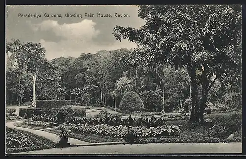AK Peradeniya /Ceylon, Peradeniya Gardens, showing Palm House