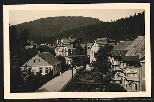 AK Schwarzburg, Strassenpartie mit Pension Landhaus Heunemann und Blick zum Trippstein