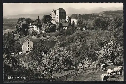 AK Wildegg, Blick auf das Schloss