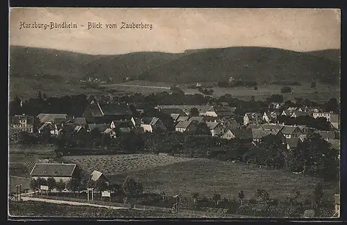 AK Harzburg-Bündheim, Ortsansicht vom Zauberberg