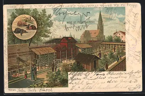 Lithographie Aalen, Kaninchenzüchter an der neuen St. Peterskirche